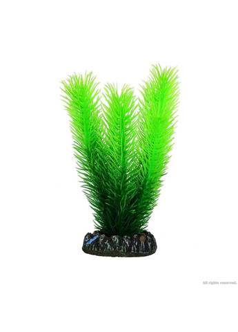 Искусственное растение Mayaca 16см Hobby (322711664)