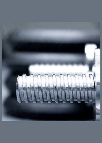 Гантели 2х20 кг (Металлический Гриф) WCG (346535187)