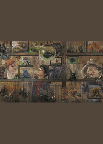 Книга Гаррі Поттер і в’язень Азкабану. Велике ілюстроване видання. Автор - Д. Ролінґ ( ) А-БА-БА-ГА-ЛА-МА-ГА (338874503)