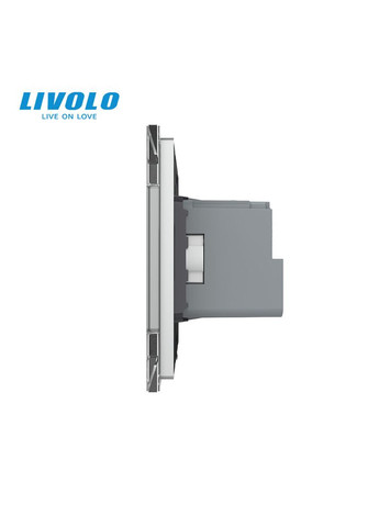 Радиоуправляемая (дистанционная) розетка с пультом, серая, с заземлением и защитными шторками, управление со смартфона, Livolo (371777030)