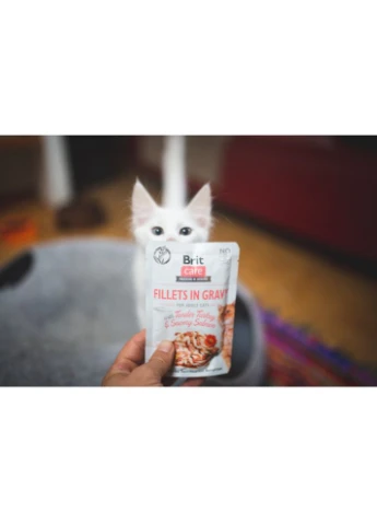 Влажный корм Cat Pouch для кошек, филе в соусе, нежная индейка и пикантный лосось, 85 г Brit Care (355253151)