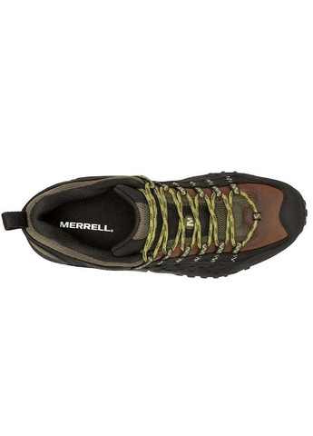 Кросівки тактичні Merrell (293376698)