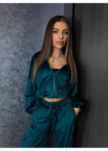 Велюровий жіночий костюм Fashion (361269005)