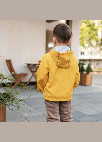 Жовта демісезонна вітровка Marakas