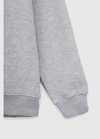 Серый свитшот мужской dms-040 baza серый (2000990058447w) shop (2000990058447) Demos (315965738)