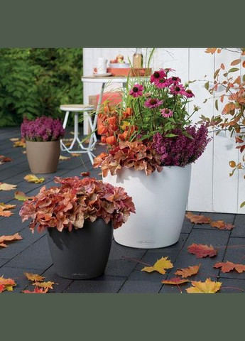 Разумный вазон Classico Color 43 33 л серый 13244 Lechuza (316614852)