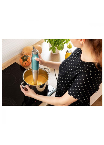 Занурювальний блендер SHB 5601GR Sencor (314928126)