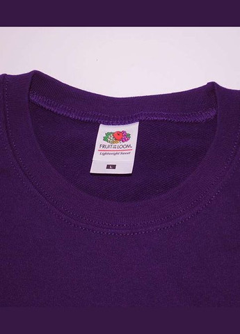 Светр чоловічий Lightweight set-in sweat (062156036S) Fruit of the Loom (311606111)