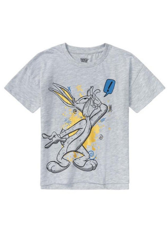 Комбінована літня футболки для хлопчика набір 2 шт Lupilu