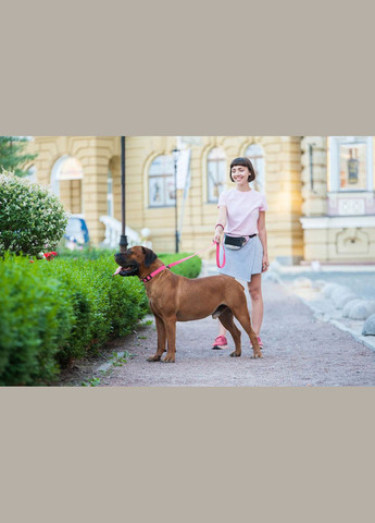 Поводок для собак водостойкий Waterproof, L-XXL, Ш 25 мм, Дл 122 см розовый WAUDOG (322125288)