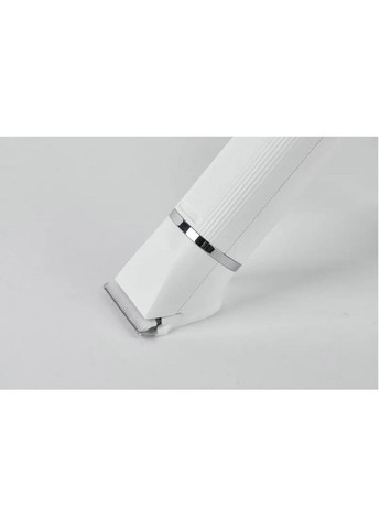 Машинка для стрижки тварин 2 in 1 Pet Trimmer Pro (PK413) PETKIT (370615434)