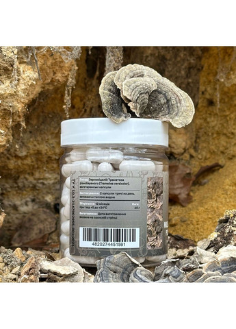 Мицелий Траметеса разноцветного, капсулы 120 шт по 0.5 г Лісовик (334711171)