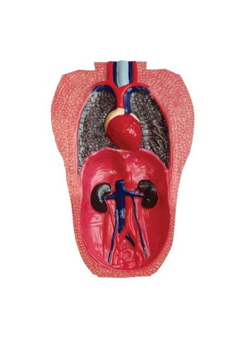 Пазл 4D Master (FM-622012) SKL Горила (366156857)