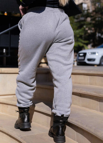 Спортивні штани джогери No Brand (305625570)