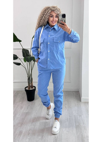 Женский костюм из микровельвета с джогерами. Размерная сетка в описании. DK/DL Мода без кордонів (359556909)