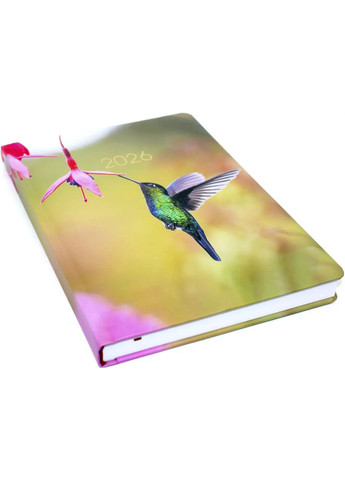 Щоден. A5 дат2026 E21870 ECONOMIX (366571355)