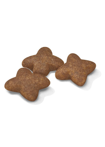 Сухой корм для собак малых пород Mini Adult 8 кг 3001080 Royal Canin (266274139)