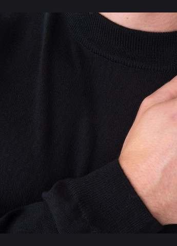 Гольф (водолазка) мужской Ragman (201939322)