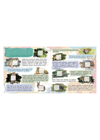 Насекомые. 100 интересностей цвет разноцветный ЦБ-00283377 Талант (351284084)