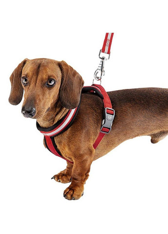 Світлий шлейк для собак з магнітною застібкою Daytona R Cros (Ферпласт Дайтона П Кросс) S - 47 intex 62 см 15 мм, Синій Ferplast (297512171)