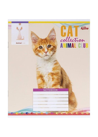 Зошит 24 арк. лінія "МРІЇ" / Cat Мрії Збуваються (342416708)