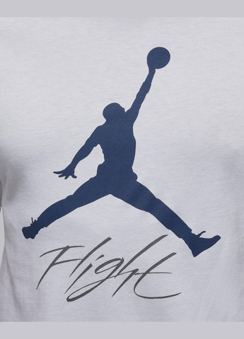 Комбинированная мужская футболка jumpman flight men's t-hirt(ao0664-102) s Jordan