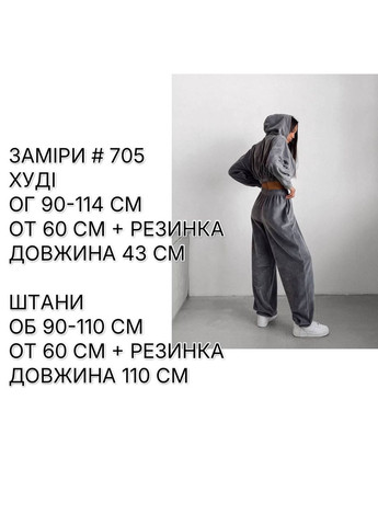 Женский велюровый спортивный костюм FINO Mode (361055722)