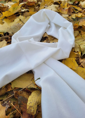 Мужской кашемировый шарф Однотонный No Brand (366385540)