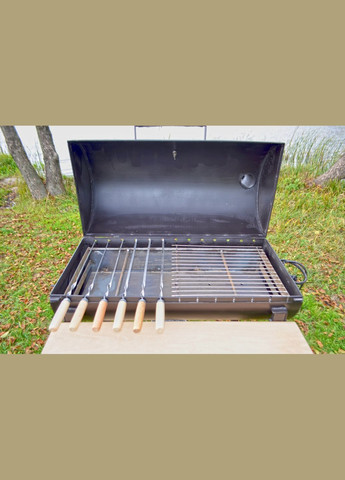 Мангал-гриль (з шампурами) Троян (346534815)