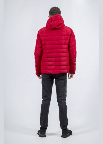 Червона зимня чоловічий зимовий пуховик зі стійкою і капюшоном, біопух snow image (, ), 41194 No Brand