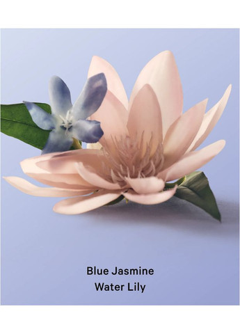 Парфюмированный спрей Blue Jasmine Water Lily Body Mist 236ml Victoria's Secret (378011076)
