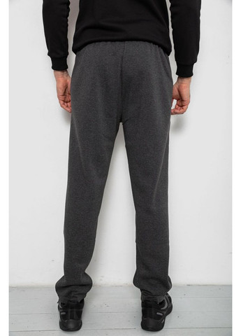 Спортивні штани чоловічі на флісі Sport Line (367261984)