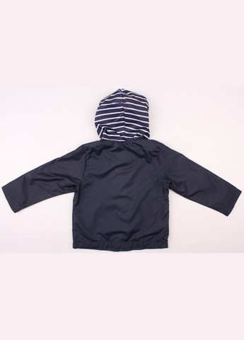 Синяя демисезонная ветровка Verscon