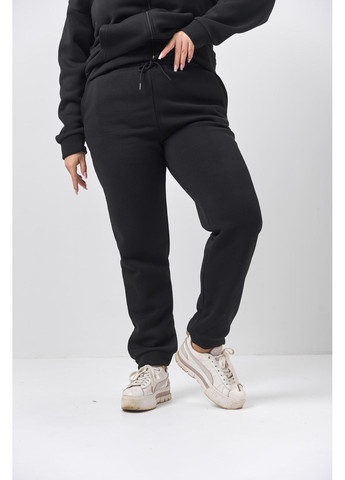 Женский теплый спортивный костюм Большого размера на молнии из тринитки на флисе, черный No Brand (365830129)