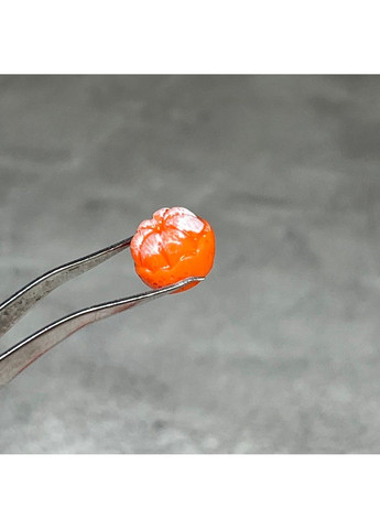 Набор (мини) серединок для творчества - Цитрус, размер 1 см, арт 017925, упаковка 5 шт. No Brand (323222803)