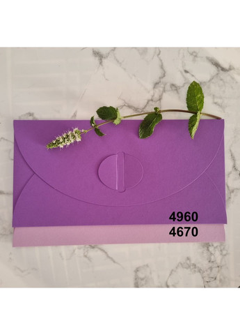 Подарунковий конверт 110х220 мм з кольорового дизайнерського картону Лавандовий No Brand (365726388)