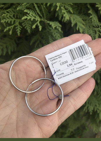 Серьги серебряные Кольца С00, 3 размер No Brand (316398222)