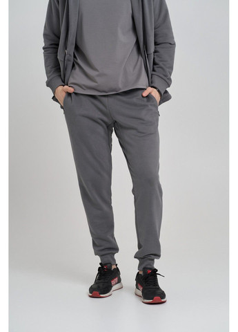 Спортивный костюм мужской ТРОЙКА весна осень 4ZIP с кофтой на замке + футболка серый Handy Wear (293275169)