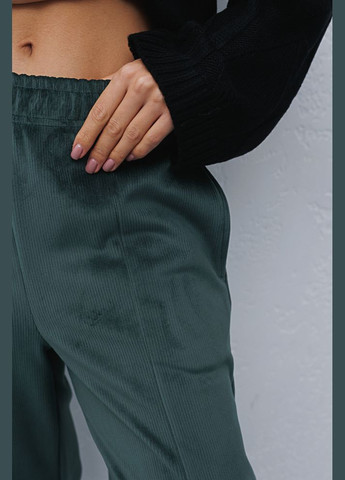 Жіночі велюрові штани Arjen (289385590)