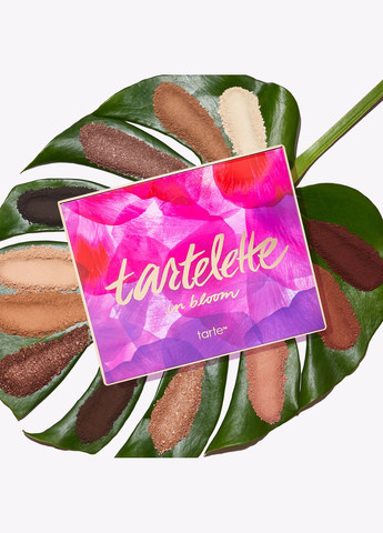Тіні Tarte (278773836)