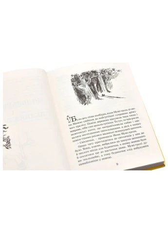 Книга Страна Муми-троллей. Книга 1 - Туве Янссон (9786176796466) Видавництво Старого Лева Країна Мумі-тролів. Книга 1 - Туве Янссон (400301897)