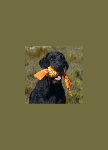 Игрушка для собак Cowboyz оранжевая М 4289708 ROGZ (269341796)