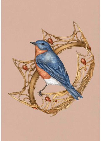 Орнитография: Иллюстрированный справочник по птичьей символике и легендам ArtHuss (370058778)