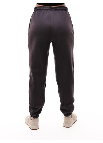 Брюки спортивні жіночі BE FAB (365798639)