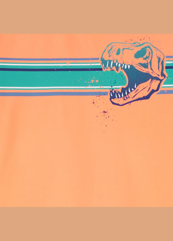 Футболка для купания для мальчика 128-136 см (3R063010_8) Carter's (332123633)