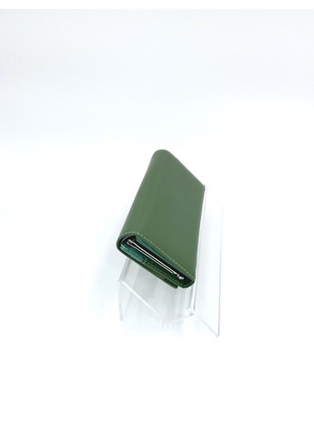 Женский кошелек из эко-кожи Tailian T88200-312 зеленый 19 х 9 х 3 SoMuch (369157469)
