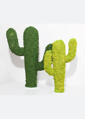 Очищений стабілізований мох ягель Зелений весняний 0,5 кг Nordic moss (276401078)