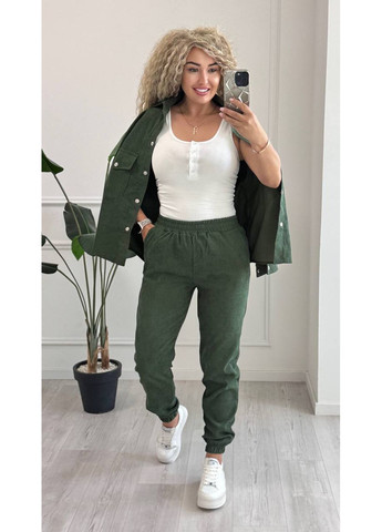 Женский костюм из микровельвета с джогерами. Размерная сетка в описании. DK/DL Мода без кордонів (359556907)