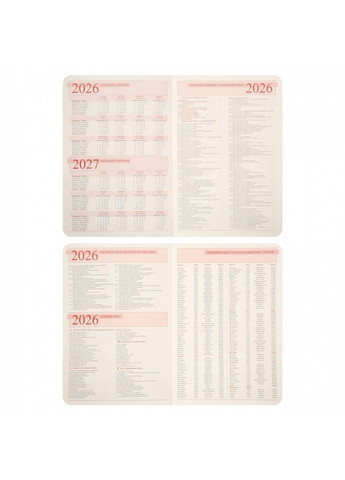 Ежедневник датированный 2026год А5 мягкий 368 страниц Polo .графитовый 252694 Leo Planner (364302779)