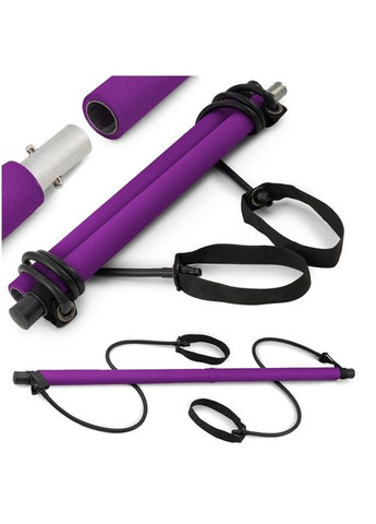 Тренувальна палиця з еспандерами HS-T090GS фіолетова Hop-Sport (301538859)
